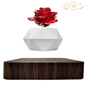 
                  
                    Levitating Rose Holder™ [NEW] - RoseBearUs
                  
                