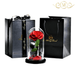 Preserved Rose In Glass Dome + Gift Box - RoseBearUs