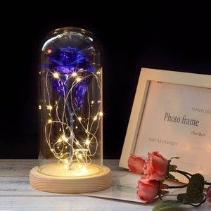 
                  
                    LED Rose In Glass - RoseBearUs
                  
                