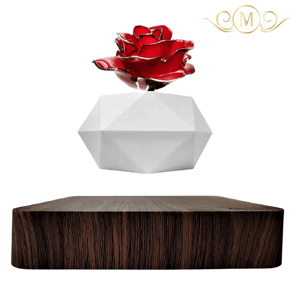 
                  
                    Levitating Rose Holder™ [NEW] - RoseBearUs
                  
                