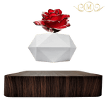 Levitating Rose Holder™ [NEW] - RoseBearUs
